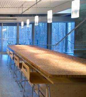 Bamboo Countertops Bamboo Countertops