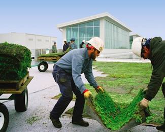 liveroof Living Roof Case Study - Ford Rouge Factory