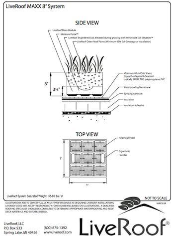 Living Roofs