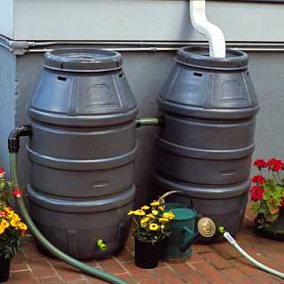 Rain Barrel