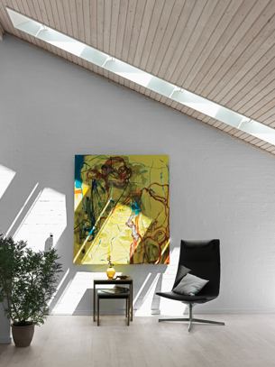 Skylight Shades
