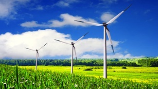 Photo:Shutterstock